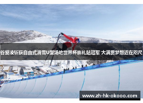 谷爱凌斩获自由式滑雪U型场地世界杯崇礼站冠军 大满贯梦想近在咫尺