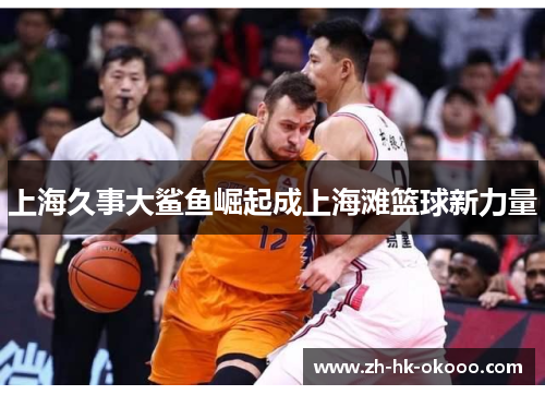 上海久事大鲨鱼崛起成上海滩篮球新力量