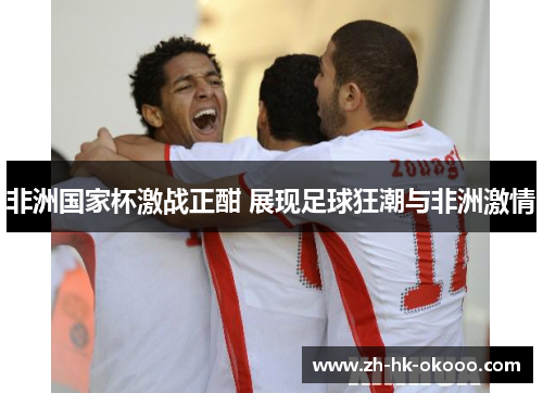 非洲国家杯激战正酣 展现足球狂潮与非洲激情