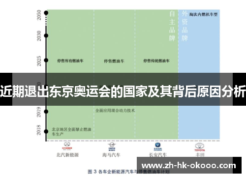 近期退出东京奥运会的国家及其背后原因分析